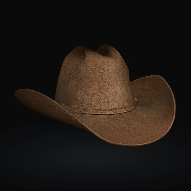 3D brown cowboy hat