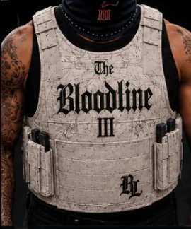 Photo of the vest